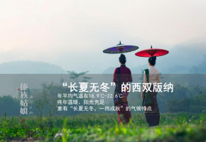 孔雀台