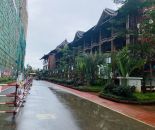 实景图